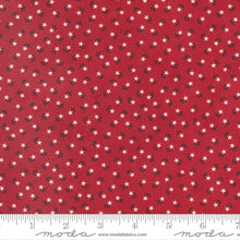 Load image into Gallery viewer, American Star Table Mat Kit & Pattern