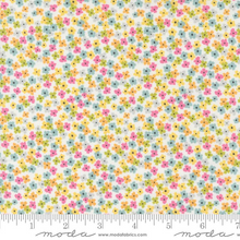 Load image into Gallery viewer, Bits & Pieces Kit and Pattern