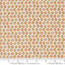 Load image into Gallery viewer, Slow & Steady Quilt Kit & Pattern