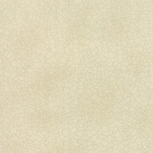 Load image into Gallery viewer, Noel Sampler