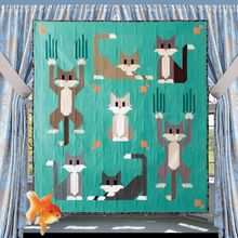 Load image into Gallery viewer, Cat Scratch