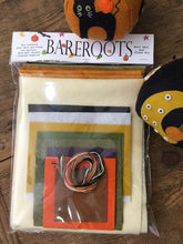 Load image into Gallery viewer, EEK! Spooks Stuffed Pumpkins Kit