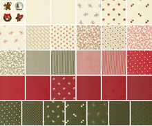 Load image into Gallery viewer, Joyful Quilt Along