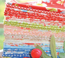 Load image into Gallery viewer, Stitchery Sampler