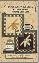 Load image into Gallery viewer, Pick More Daisies