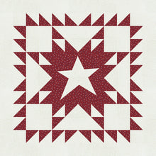 Load image into Gallery viewer, American Star Table Mat Kit & Pattern