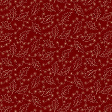 Load image into Gallery viewer, Country Charmer Updated Version <BR>Kit & Pattern