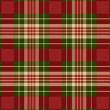 Load image into Gallery viewer, Country Charmer Updated Version <BR>Kit & Pattern