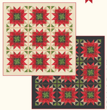 Load image into Gallery viewer, Holiday Flora<BR>Stacy Iest Hsu