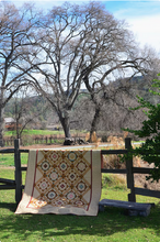 Load image into Gallery viewer, Country Sunshine Pattern