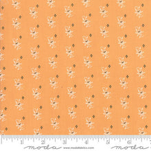 Load image into Gallery viewer, Pumpkins & Cream