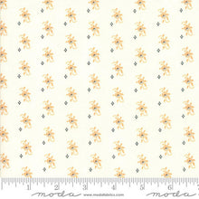 Load image into Gallery viewer, Pumpkins & Cream