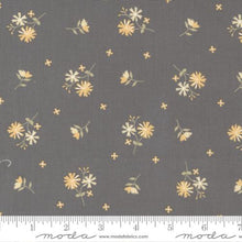 Load image into Gallery viewer, Sunny Flowers Kit or Pattern