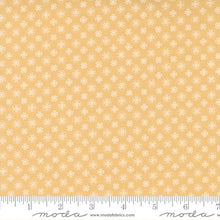 Load image into Gallery viewer, Sunny Flowers Kit or Pattern