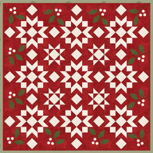Load image into Gallery viewer, Winterberries Flannel Quilt Kit