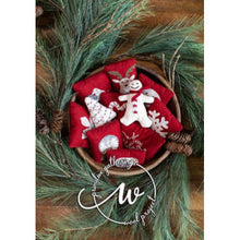 Load image into Gallery viewer, Nordic Noel Kit or Pattern