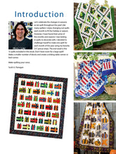 Load image into Gallery viewer, Jelly Roll Quilts for All Seasons
