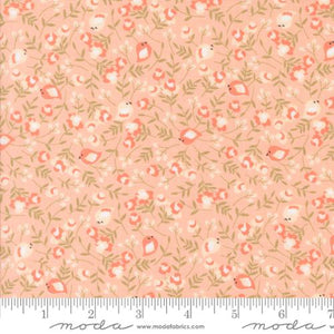 Jelly Dash Quilt Kit & Pattern