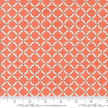 Load image into Gallery viewer, Love Grows Quilt Kit &amp; Pattern

