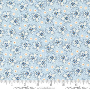 Fig Tree Quilt Designs <BR>Denim & Daisies <BR>SKU#35385 11