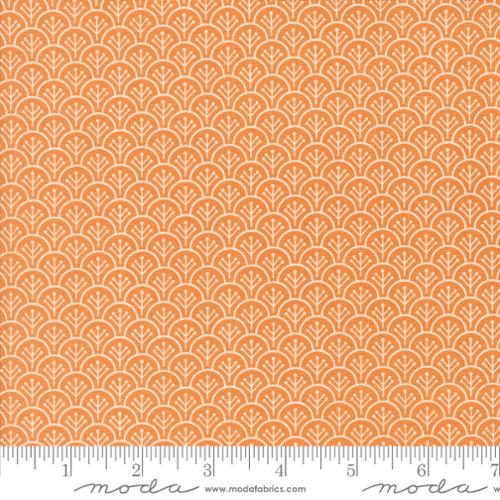Fig Tree Quilt Designs <BR>Agatha Road <BR>35415 12