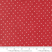 Load image into Gallery viewer, Take It Easy-Christmas Version<BR> Kit &amp; Pattern
