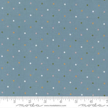 Load image into Gallery viewer, Bloom &amp; Buzz Kit &amp; Pattern
