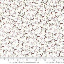Load image into Gallery viewer, Twinkle Kit &amp; Pattern
