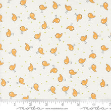 Load image into Gallery viewer, Spring Chicken Kit &amp; Pattern
