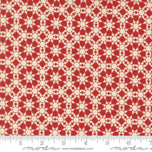 Load image into Gallery viewer, Bloom Kit &amp; Pattern<BR>Celebrating Summer &amp; Americana
