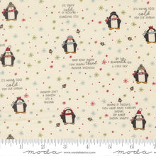 Load image into Gallery viewer, Stars &amp; Snowflakes Quilt
