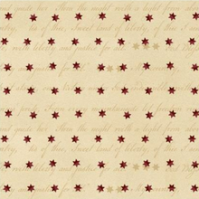 Load image into Gallery viewer, Stars &amp; Stripes Table Runner <BR>Kit &amp; Pattern
