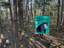 Load image into Gallery viewer, Bear-Wildered Pattern
