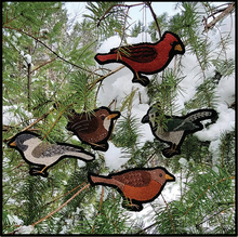 Load image into Gallery viewer, Fine Feathered Friends
