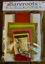 Load image into Gallery viewer, Everything Nice Once Again Ornament Kit &amp; Pattern

