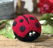 Load image into Gallery viewer, Ladybug Pinkeep Kit &amp; Pattern
