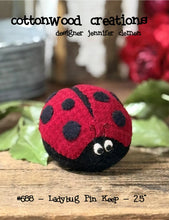 Load image into Gallery viewer, Ladybug Pinkeep Kit &amp; Pattern
