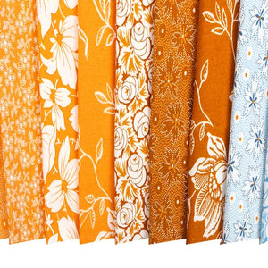 Denim & Daisies Fat Quarter Bundle - Fig Tree Quilts