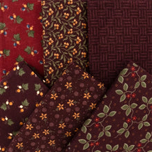 Load image into Gallery viewer, Flannel Season Fat Quarter Bundle<BR>Kansas Troubles
