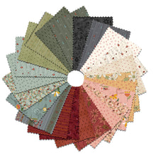 Load image into Gallery viewer, Crazy Blooms Kit &amp; Pattern
