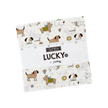 Load image into Gallery viewer, Lucky 5&quot; Charms
