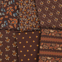 Load image into Gallery viewer, Pamelia's Path Fat Quarter Bundle
