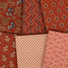 Load image into Gallery viewer, Pamelia's Path Fat Quarter Bundle
