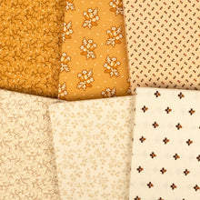 Load image into Gallery viewer, Pamelia's Path Fat Quarter Bundle
