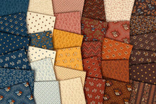 Load image into Gallery viewer, Pamelia's Path Fat Quarter Bundle
