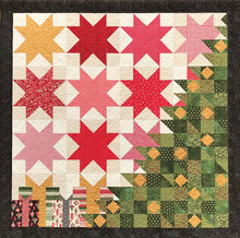 Load image into Gallery viewer, Patchwork Christmas<BR> Wall Hanging, Mini Quilt &amp; Pillow
