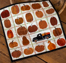 Load image into Gallery viewer, Fall Harvest Kit &amp; Pattern
