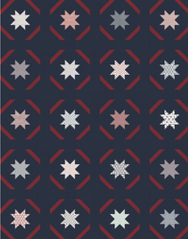 Load image into Gallery viewer, American Gatherings III
