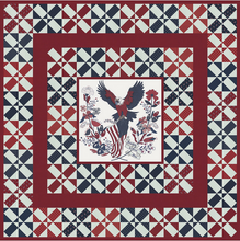 Load image into Gallery viewer, American Gatherings III
