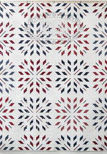 Load image into Gallery viewer, American Gatherings III
